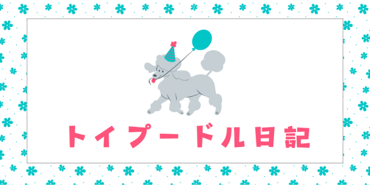 ていねいなくらし